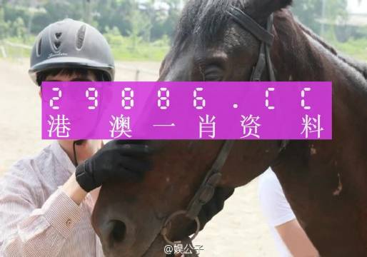 股情 第919页