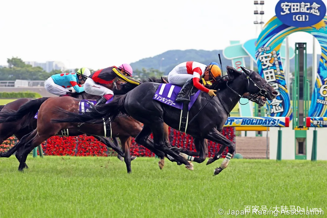 香港特马资料王中王|全面释义、解释与落实