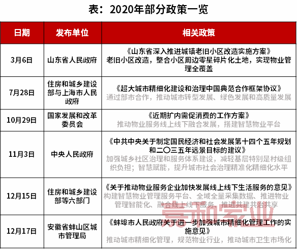 新澳2025全年正版资料免费资料公开,词语释义解释与落实展望