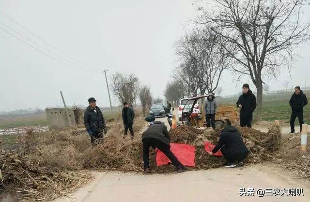 封村最新消息，疫情下的乡村治理与民生保障