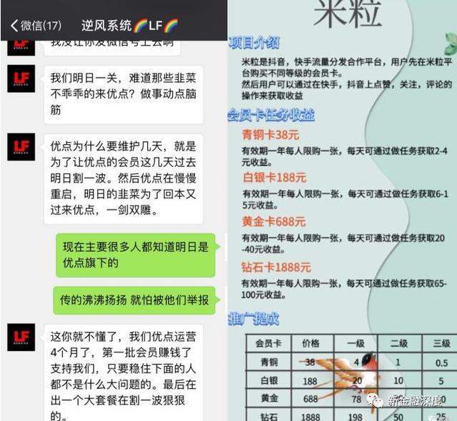 抖音疫情最新通报地图，数字时代的防疫新视角