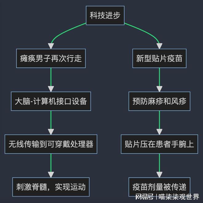 医药疫苗最新动向，科学进步与全球健康的交汇点