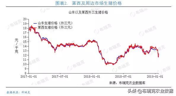 全国今日猪价最新价格，市场波动背后的原因与未来趋势分析