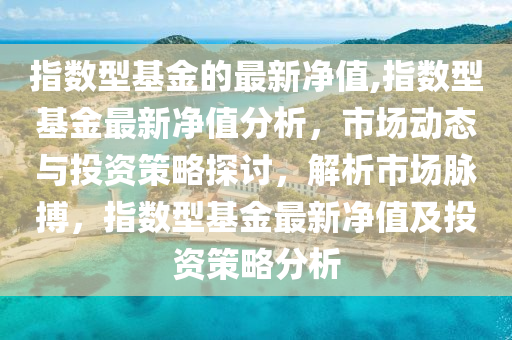 指数型基金的最新净值，探索市场趋势与投资策略