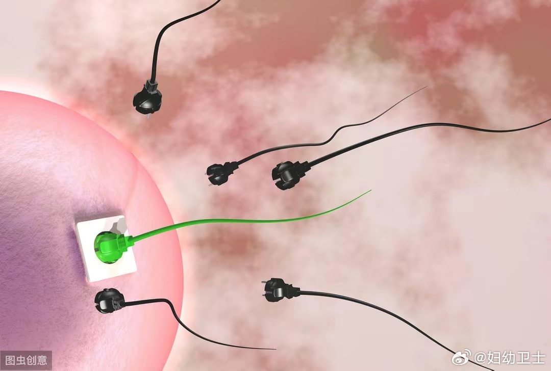 精子窝最新网站入口，探索男性生殖健康的奥秘