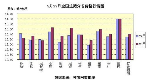 今天最新生猪价格趋势