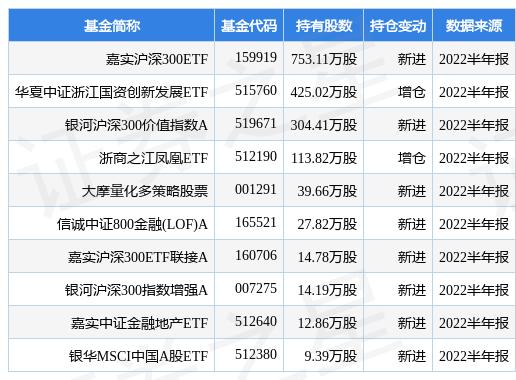 嘉实300的最新净值，深度解析与投资策略