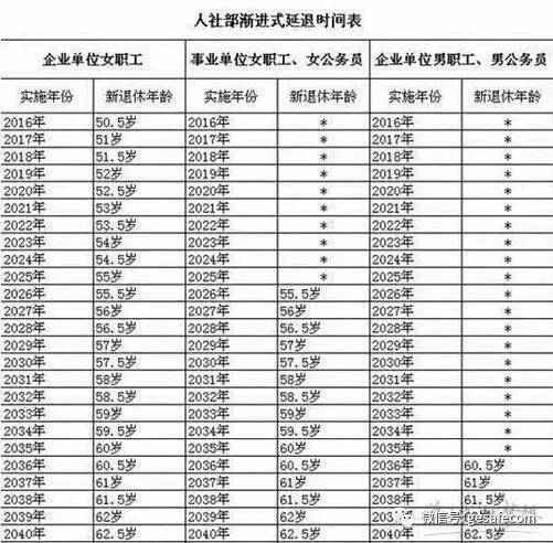 美国大选票最新统计，一场历史性的较量