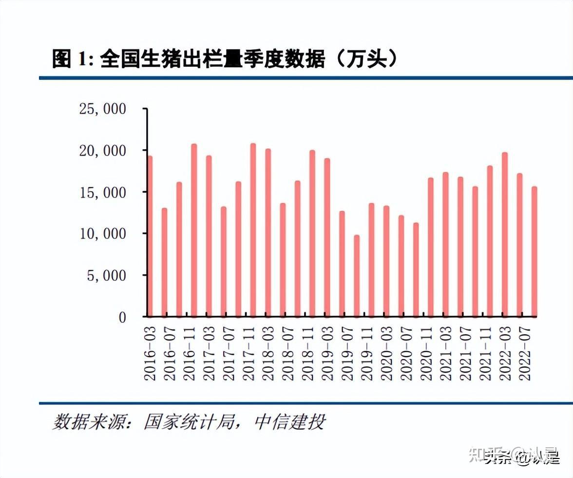 今天最新的猪价行情，市场波动与影响因素分析