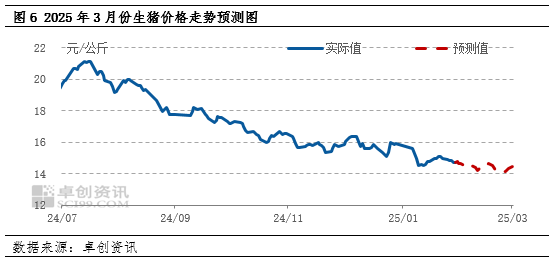 最新今天猪价格行情分析，市场波动背后的原因与未来展望