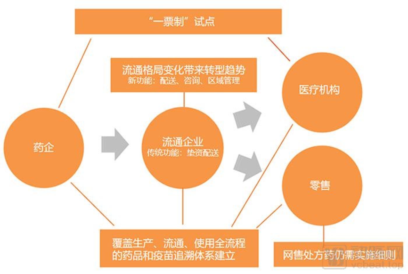 最新政策试点，探索未来社会治理的新路径