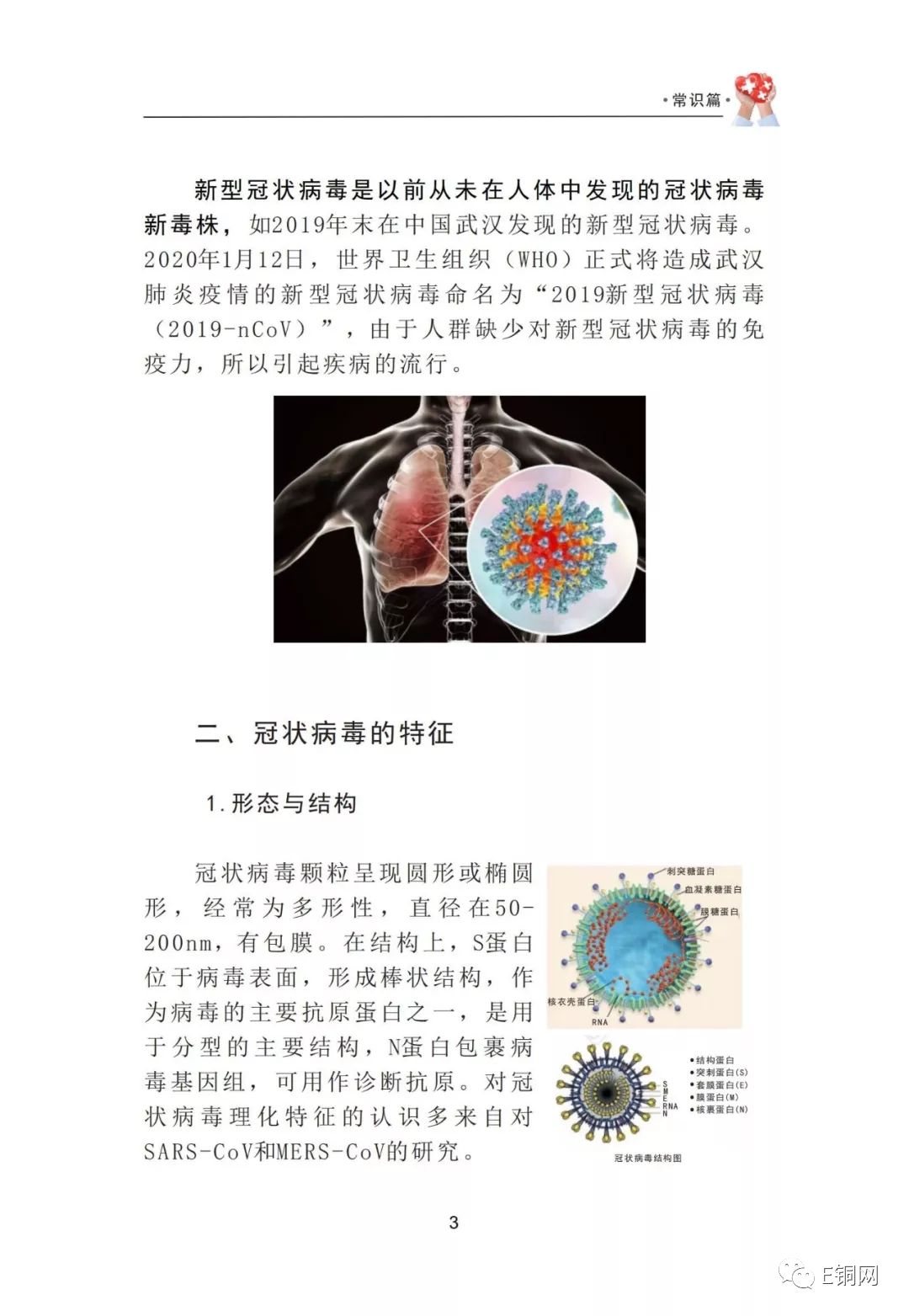 新型冠状病毒最新研究综述