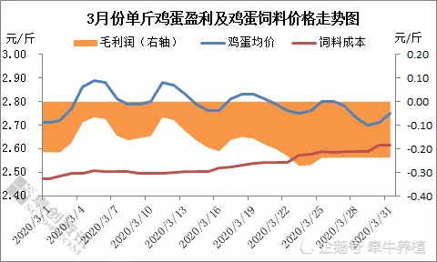 现在鸡蛋的最新价格，市场波动、影响因素及未来趋势