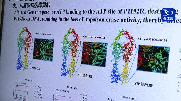 疫苗流感最新消息，科学进步与全球防疫的里程碑